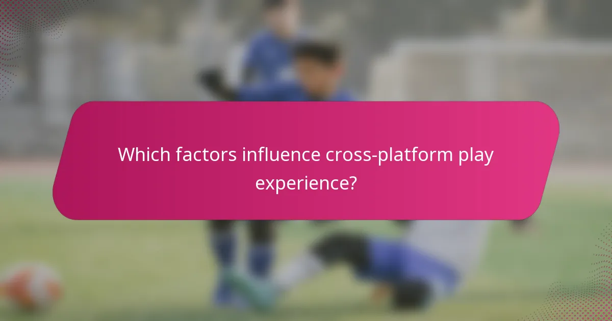 Which factors influence cross-platform play experience?